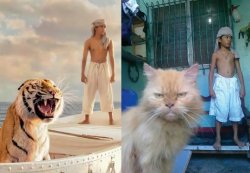 My Life Of Pi Meme Template