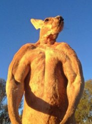 Do you even lift kangaroo Meme Template