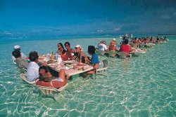 Bora Bora Ocean Resturant  Meme Template
