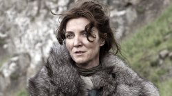 catelyn stark Meme Template