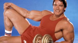 Featured image of post Arnold Schwarzenegger Nature Meme Generator / See, rate and share the best arnold schwarzenegger memes, gifs and funny pics.