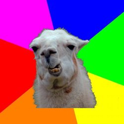 Tech Llama Meme Template