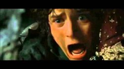 Frodo - Nooo Meme Template
