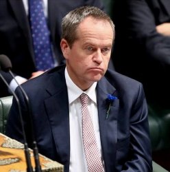 Bill Shorten Meme Template