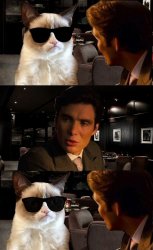 Leonardo and Grumpy Cat Meme Template