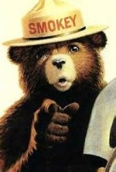 Smokey the bear Meme Template