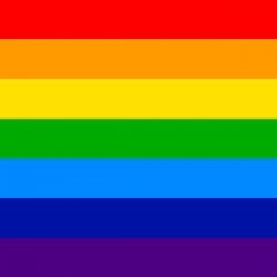 gay flag Meme Template