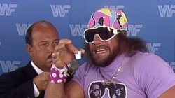 Macho man Meme Template