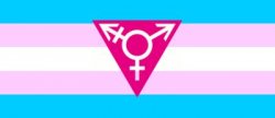 Transgender  Meme Template