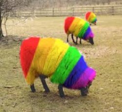 Rainbow Facebook Sheep Meme Template