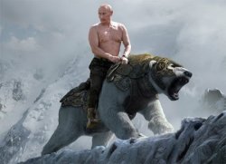 Putin riding a bear Meme Template