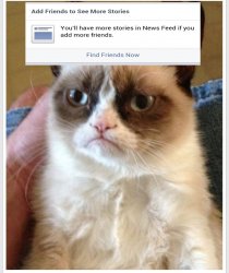 Grumpy Cat no friends Meme Template