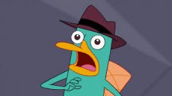 Perry amazed  Meme Template