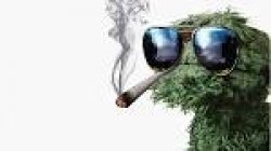 Oscar the Crouch marijuana Meme Template