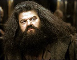 Hagrid Meme Template