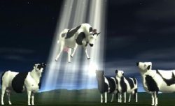Cows flying  Meme Template