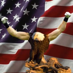 Eagle Muscles Meme Template