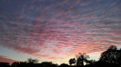 pink cloud blanket Meme Template