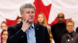 Harper Instructs you to ___ his Face Meme Template