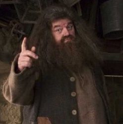 Hagrid Meme Template