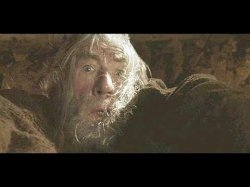 Gandalf You Fool Meme Template