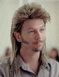 joe dirt Meme Template