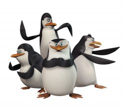 Madagascar penguins Meme Template