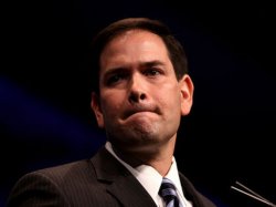 Marco Rubio Meme Template