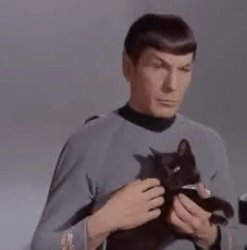 Spok with cat Meme Template