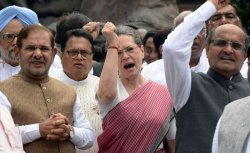 Sonia Gandhi Protesting Meme Template