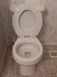 toilet seat up Meme Template