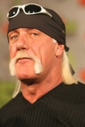 Hulk Hogan Stares Meme Template