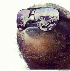 Sloth with Shades Meme Template