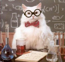 cat scientist Meme Template