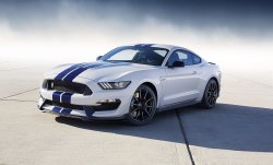 2015 Ford Mustang GT350 Meme Template