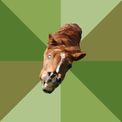 schizo horse Meme Template