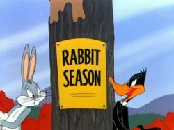 Rabbit Season Meme Template