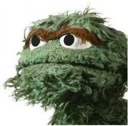 Emo Oscar Grouch Approves Meme Template
