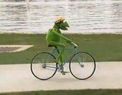 frog bike Meme Template