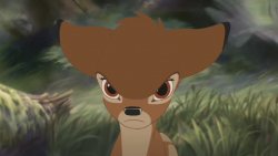 Angry bambi Meme Template