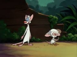 Pinky & Sad Brain Meme Template