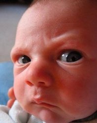 Infant attitude Meme Template