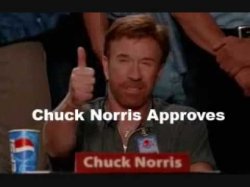 Chuck Norris Approves Meme Template