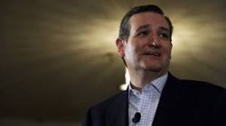ted cruz Meme Template