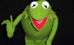 Kermit No Meme Template