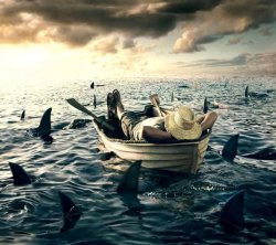 Man Shark Boat Relaxed Meme Template