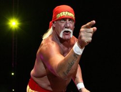 Hulk Hogan Meme Template