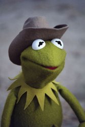 Texas Kermit Meme Template
