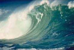 TrumpTsunami Meme Template