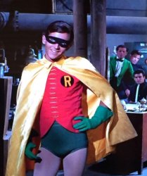 Sassy Robin Meme Template